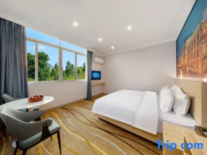 Standard Double room with city view