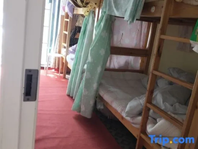 Bed in Dorm