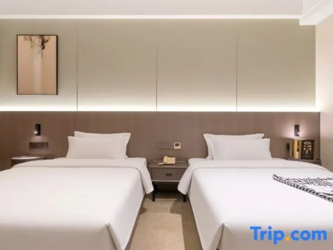 Executive Twin room