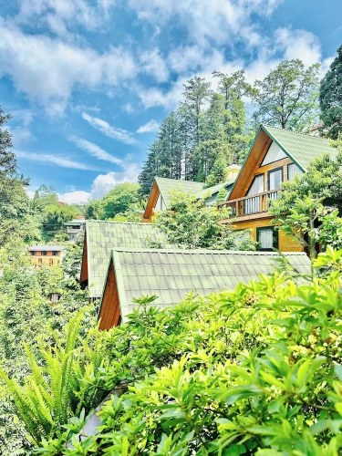 Sapa Pine Hill Ecolodge