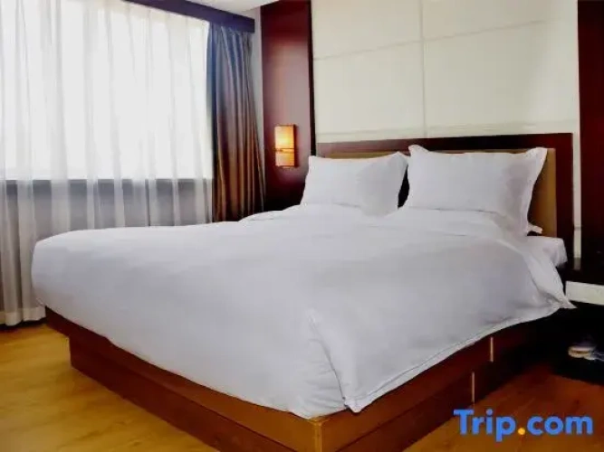 Business Single Suite