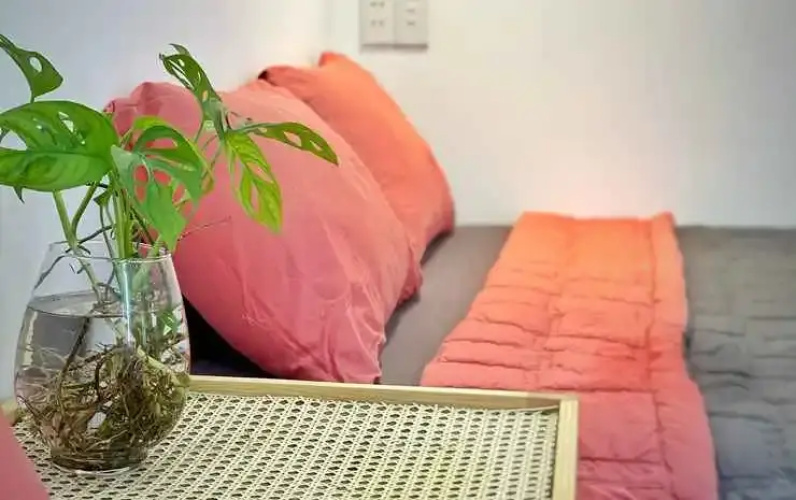 Vevy House