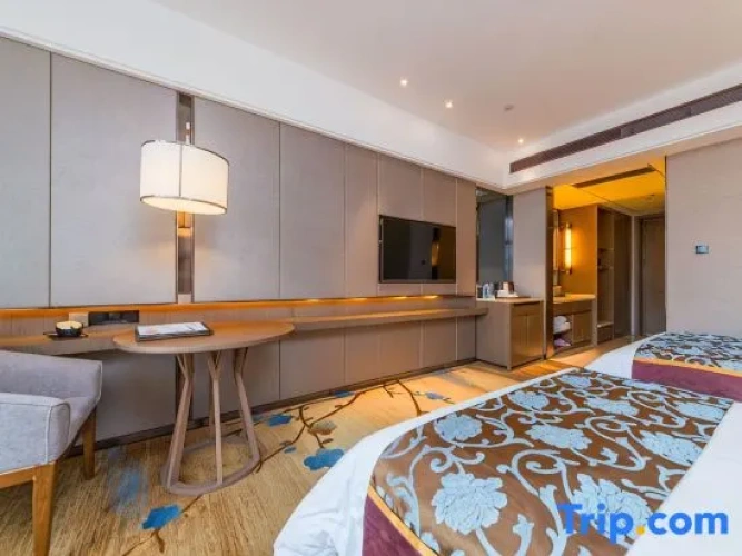 Deluxe Twin room with city view