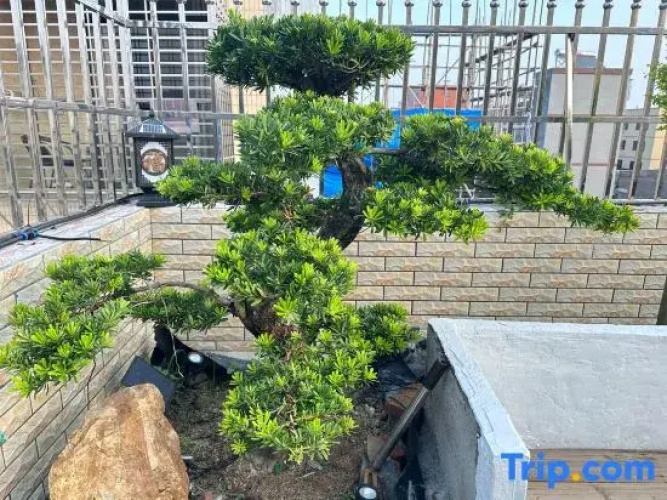 Chaozhou Niandao Accommodation