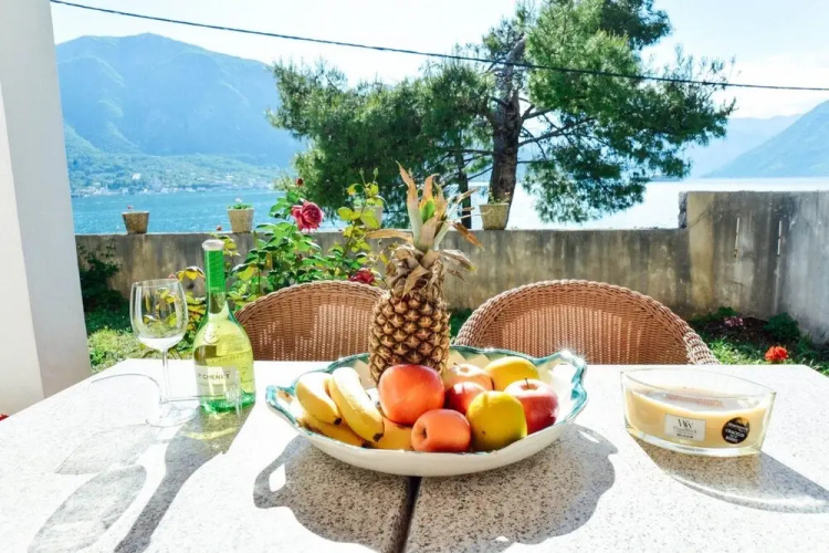 Waterfront Apartment Petrovina