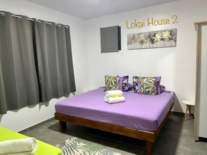 Lokai house