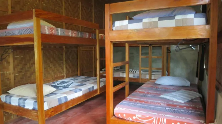 Lazy Lizard Hostel