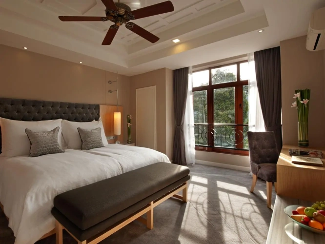 Deluxe Single room