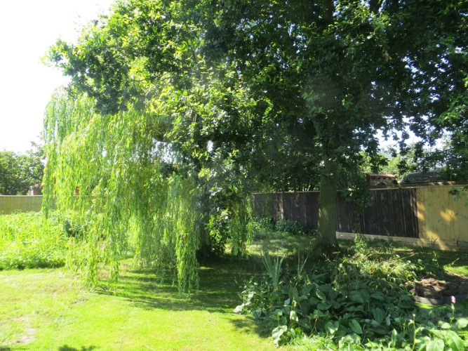 Willow Cottage