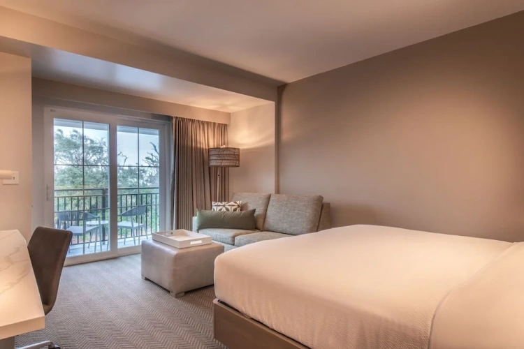 Standard Double room with balcony and with view