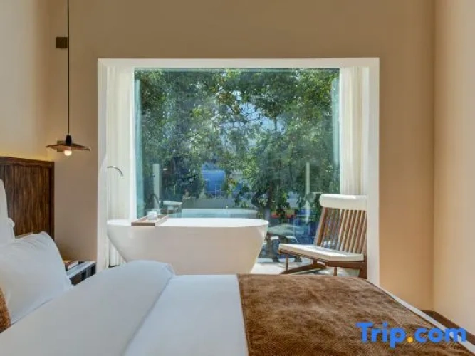 1 Bedroom Suite