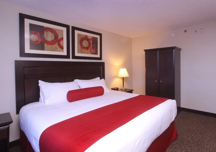 1 Bedroom Suite