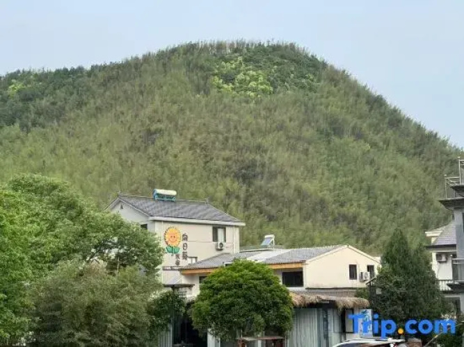 homestay  hotels