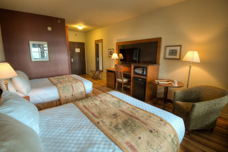 Hotel L'Oie des neiges