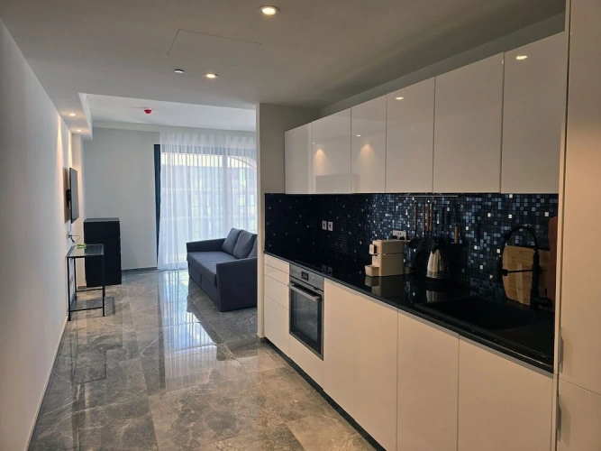 1 Bedroom Apartment