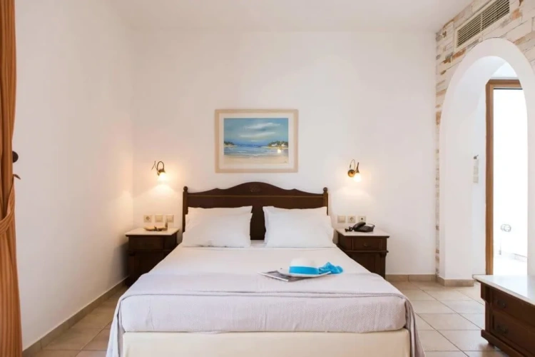 Double room with garden-back view