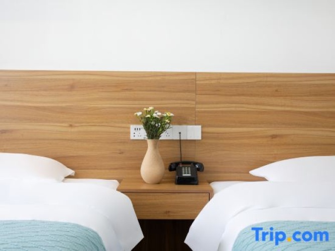 Standard Twin room with street view