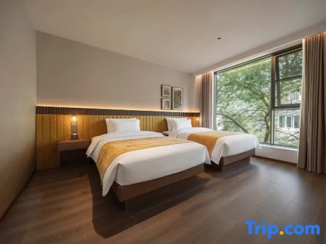 1 Bedroom Suite