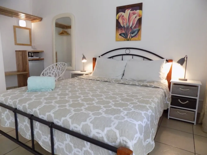 Standard Double room with courtyard view