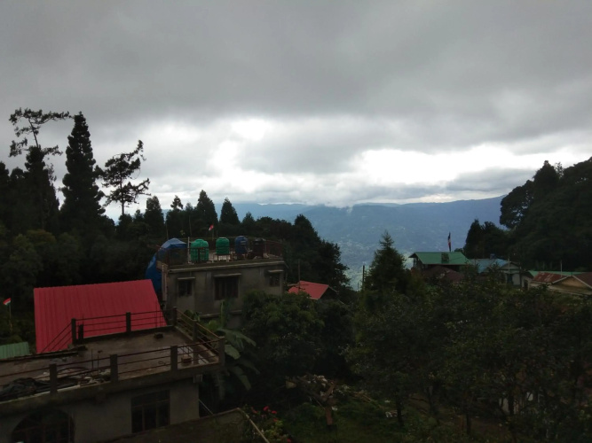 Cypress Homestay