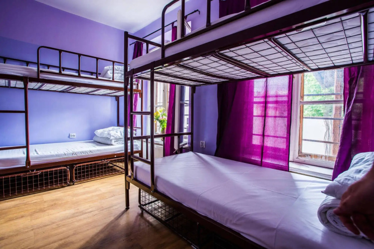 Pink Panther's Hostel