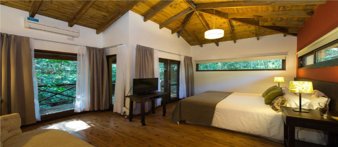 Selva de LaurelOver view