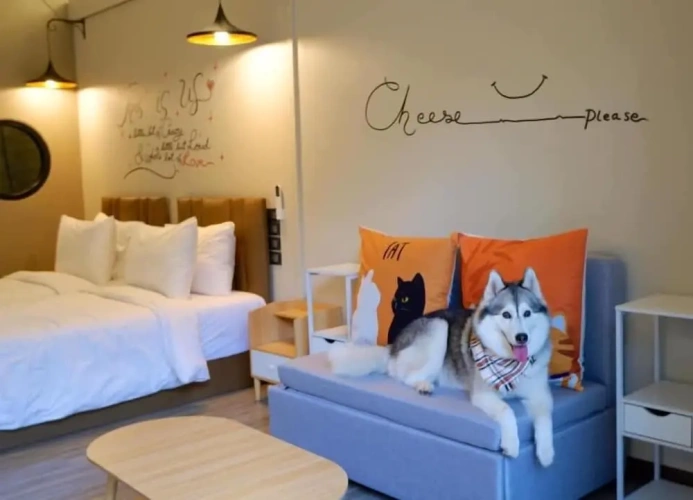 Standard room