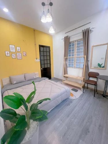 The Dreamers Hostel