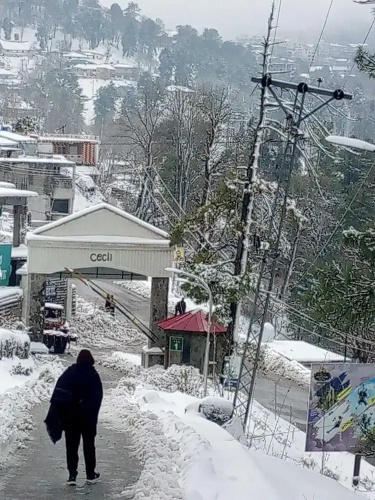 Jalwa Residential