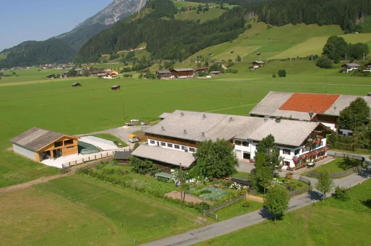 Kleintödlinggut