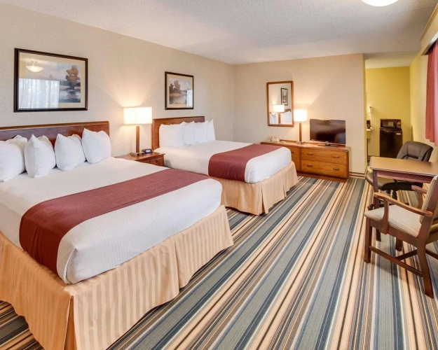 Quadruple Suite