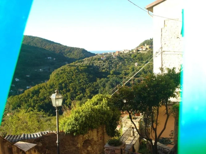 Standard Double room with view