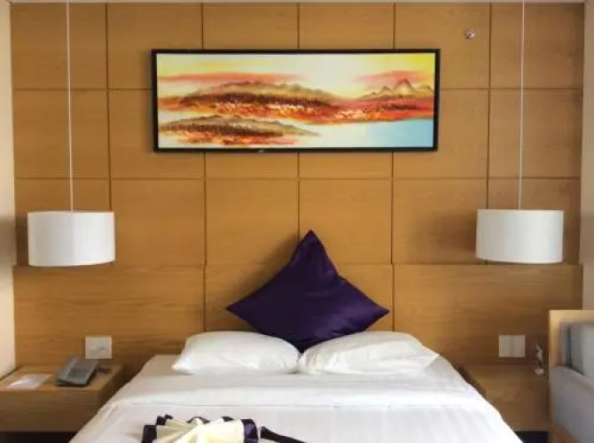 Iris Hotel Can ThoOver view