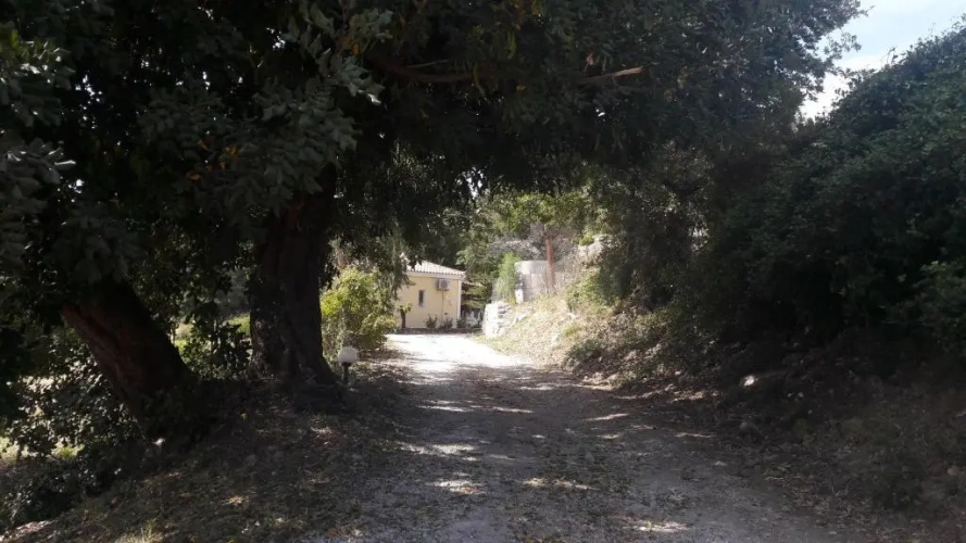 Cottage