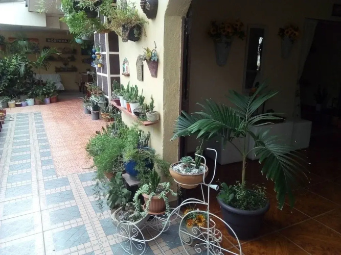 Patio De Joan