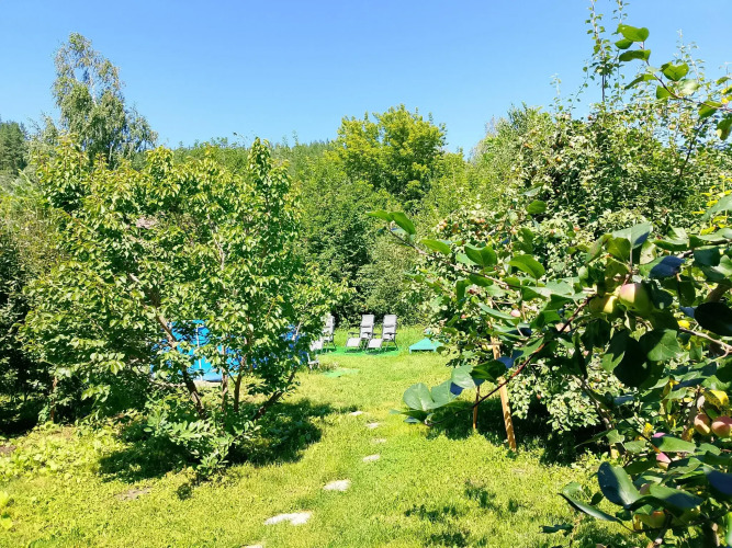 Фотография номера Коттеджа Орешек