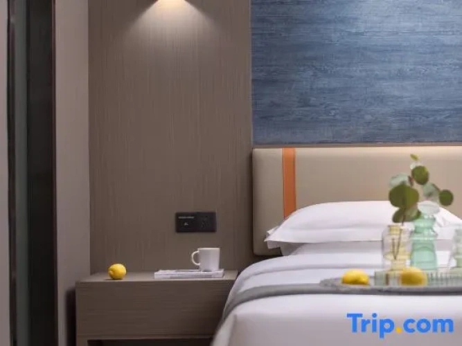 Standard Double room with city view