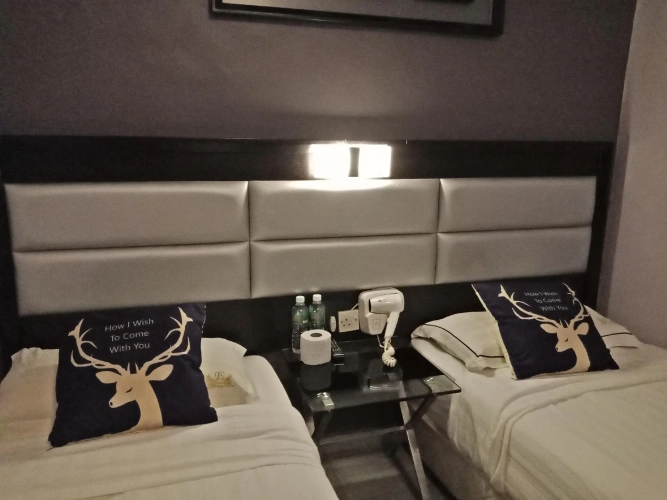 Superior Twin room