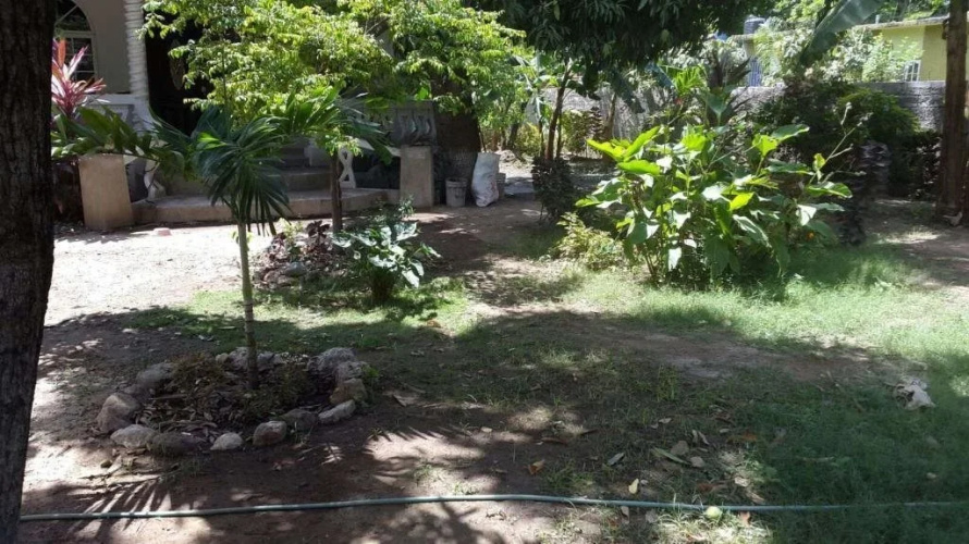 Mango Inn Kingston