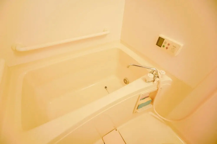 Tsuruhashi C house