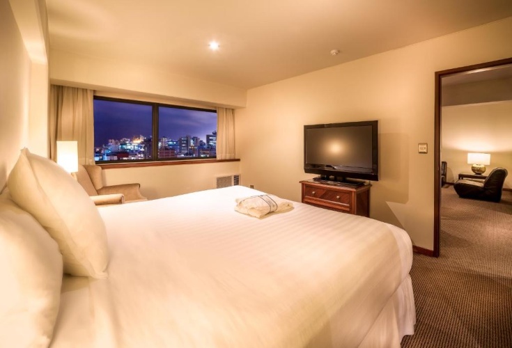 Executive Apartment