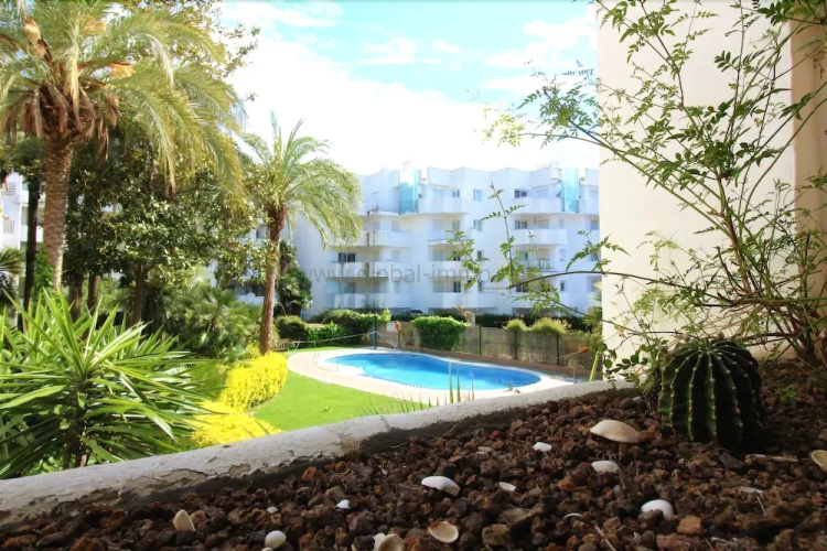 Apartamento 3331 Royal Marine I