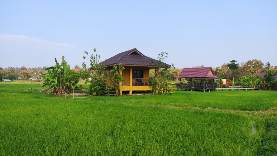 Superior Double Bungalow