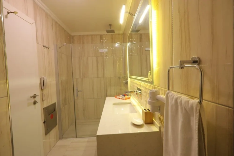Business Double room with city view