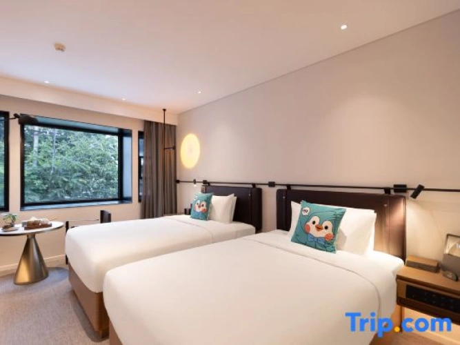 Superior Twin room with city view