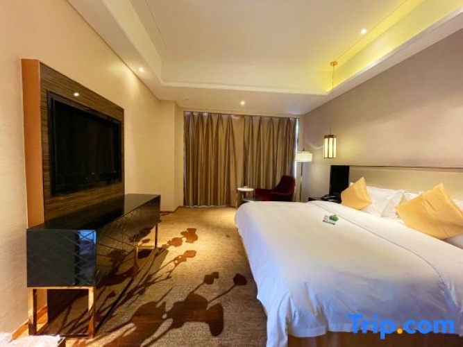 1 Bedroom Deluxe Suite