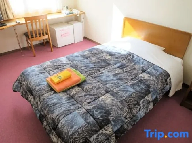 Standard Twin room with city view