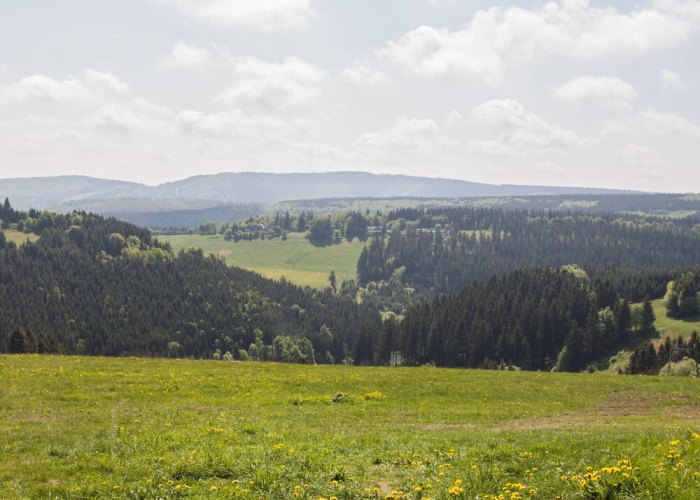 Luxus Villa Winterberg
