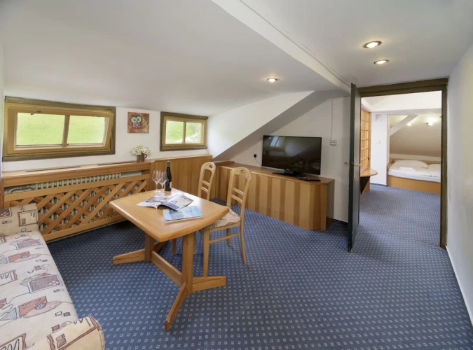 1 Bedroom Double Family Apartment