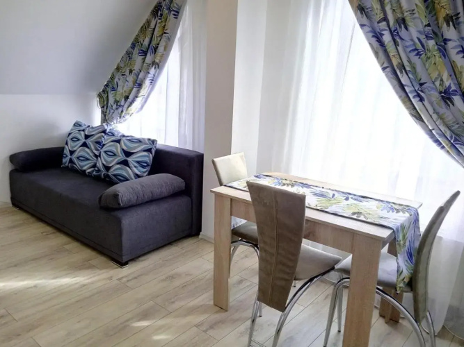 Vila Slanic